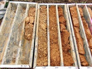Bohrkerne aus einer Phase-II-Untersuchung in der Nähe einer alten Deponie in Nordbulgarien.